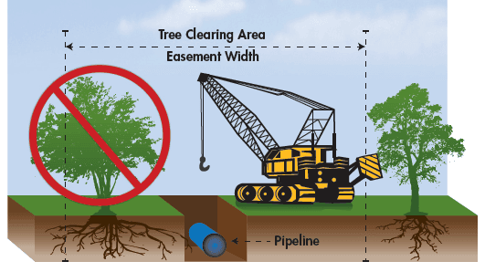 Diagram of a Tree Clearing Area and Easement Width relative to the pipeline
